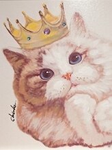 アンフィ 高座渋谷(Anphi) アンフィ アンフィ