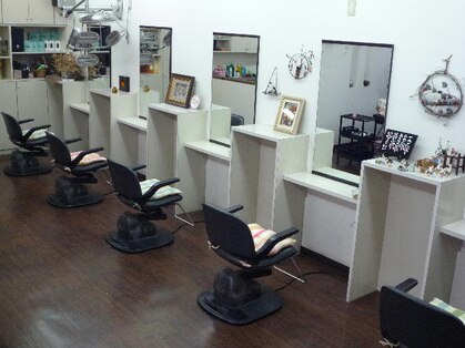 ティーノ(Tino)の写真