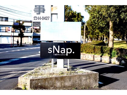 スナップ(SNAP)の写真