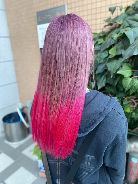 【派手髪】pink ash × vivid pink gradation【グラデーション】