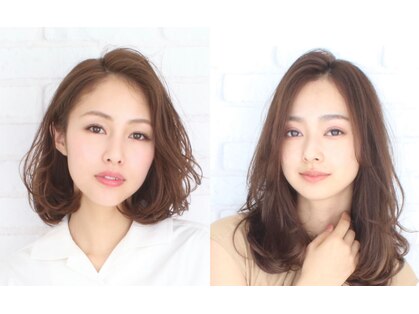 ダリア(DAHLIA)の写真