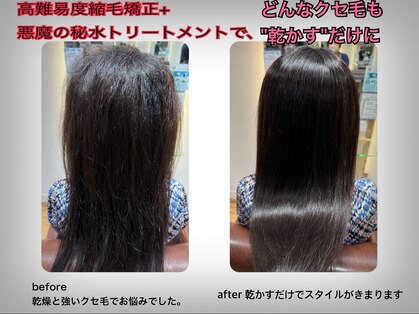 スプラウト 柏(SPROUT)の写真