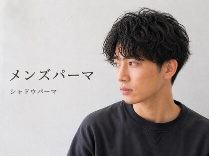 ウィールールピヴォクロス(WE RULE pivot cross)の写真