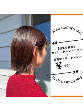 アイリス(IRIS) 【ヘイリーボブ】