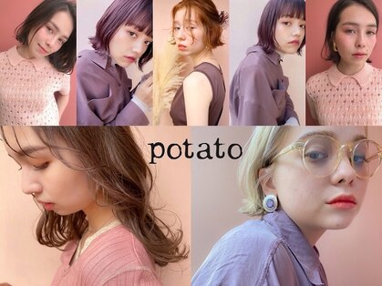 ポテト(potato)の写真