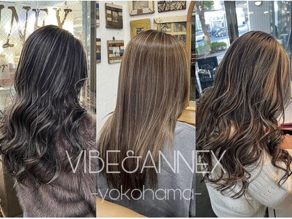 バイブアンドアネックス(VIBE & ANNEX)の写真