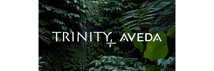 トリニティプラス アヴェダ(TRINITY+ AVEDA)のサロンヘッダー