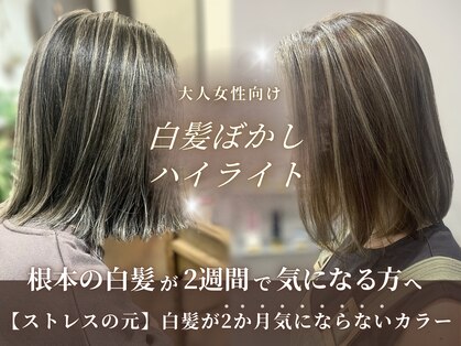 ルクス(Lux)の写真