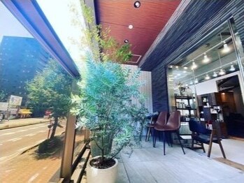 ニッカバイレオン(Nicca by leon)の写真/グリーンが映える贅沢空間で日々の疲れを癒し、リラックスしてお過ごしください◇