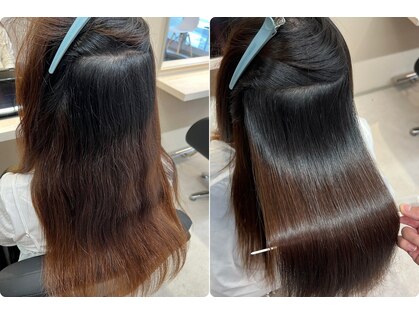 ニッティ(nittio)の写真