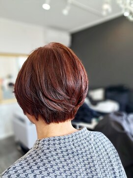 カルミアブラン(Kalmia blanc) エイジング毛も綺麗にエレガントに