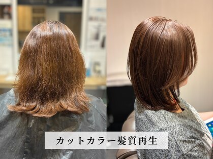 カミケンガレリア(kamiken. galleria)の写真