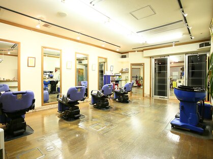 イシイ(ISHII)の写真