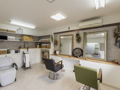 ルーツ(Roots)の写真