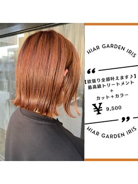 アイリス(IRIS) オレンジブラウン