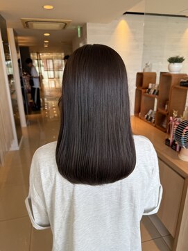 フェイス 大船(FACE) ココアブラウン秋カラー/Kurumi【大船】