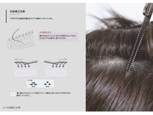 ☆TOKIKATAシザー☆