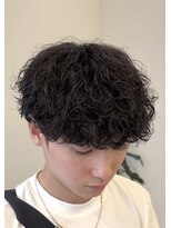 リッツ(RITZ) 波巻きプードル