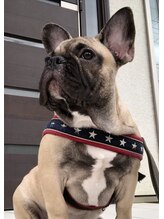 レブル(Re BuLL) ReBuLL