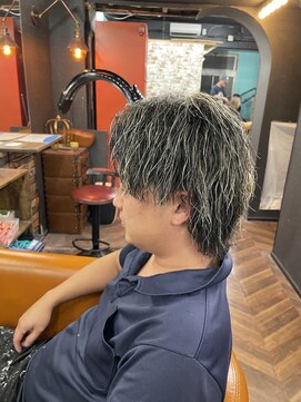 クラウン(CROWN) メッシュウルフスタイル