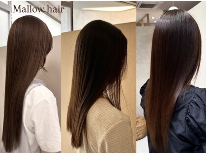 マロウ ヘア(Mallow hair)の写真