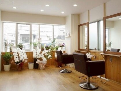 ルートサンジュウゴ(Route35)の写真