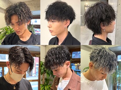 コル(col.)の写真