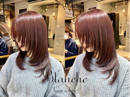 ブランシュ(Blanche)の写真