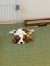 【自然なツヤ髪♪】縮毛矯正+3Stepトリートメント