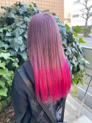 【派手髪】pink ash × vivid pink gradation【グラデーション】