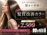 【NEW★カラーするならこれ】髪質改善カラー変更＋￥2,500