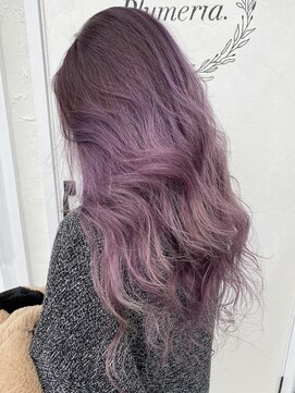 プルメリアドット(Plumeria.) ラベンダー