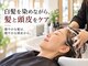 アイスタイル 西条西店(I STYLE)の写真