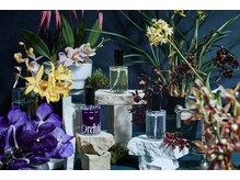 【Orchidee】多様に変化する自分らしさを表現する、新感覚のトリートメント＊[池袋/髪質改善]
