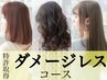 【カラー人気No1】ダメージレスカラー＋選べるTR￥14300→￥8360(白髪染めOK)