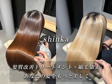 シンカ(shinka)