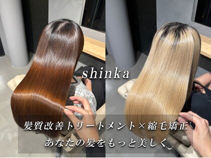 シンカ(shinka)の写真