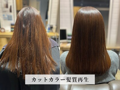 カミケンガレリア(kamiken. galleria)の写真