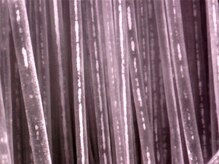 2.スコープカウンセリング【経験の目だけでなく、化学の目で見極め、素材を整える事が良いスタイルになる】