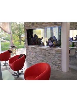 男女問わず幅広い世代から支持◎大きい窓から光が差し込む明るい店内でリラックスできるサロンTimeを♪