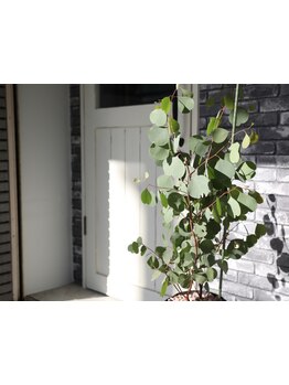 <西武庫公園すぐ>住宅街の隠れ家サロンでは親しみやすいスタッフがお出迎え♪あなたの行きつけが見つかる★