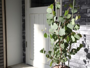 ザジョリーユー(THE Jolly You)の写真/<西武庫公園すぐ>住宅街の隠れ家サロンでは親しみやすいスタッフがお出迎え♪あなたの行きつけが見つかる★