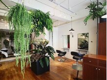 ドッグマニアピンチアオヤマ(DOGMANIA PiNCH AOYAMA)