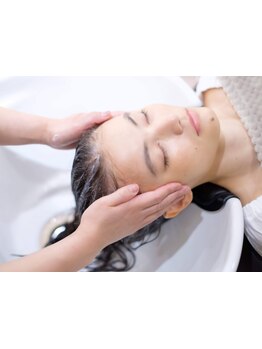 【癒しの自然派空間】ヘアエステ＆ヘッドスパ特化のプライベートサロン《Coco Shine》が札幌大通に！