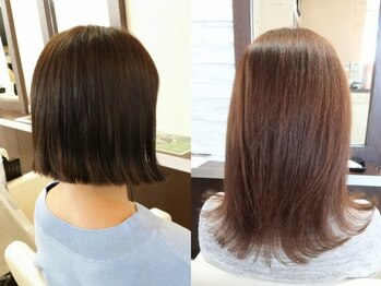 Dip's【ディップス】