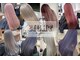 エイト 難波店(EIGHT namba)の写真