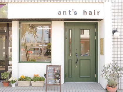 アンツヘア(ant's hair)の写真