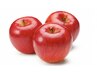 〈最高級の地肌エイジングケア〉りんご幹細胞培養液＋エヴァーリーフ炭酸スパ