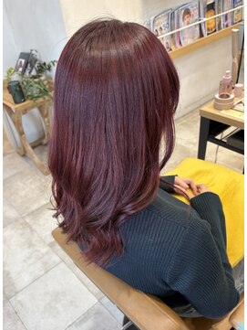 チェリーレッド/バーガンディ/レッド/ダブルカラー/赤