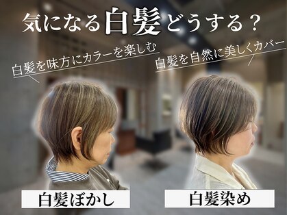 ラポール(Rappor)の写真